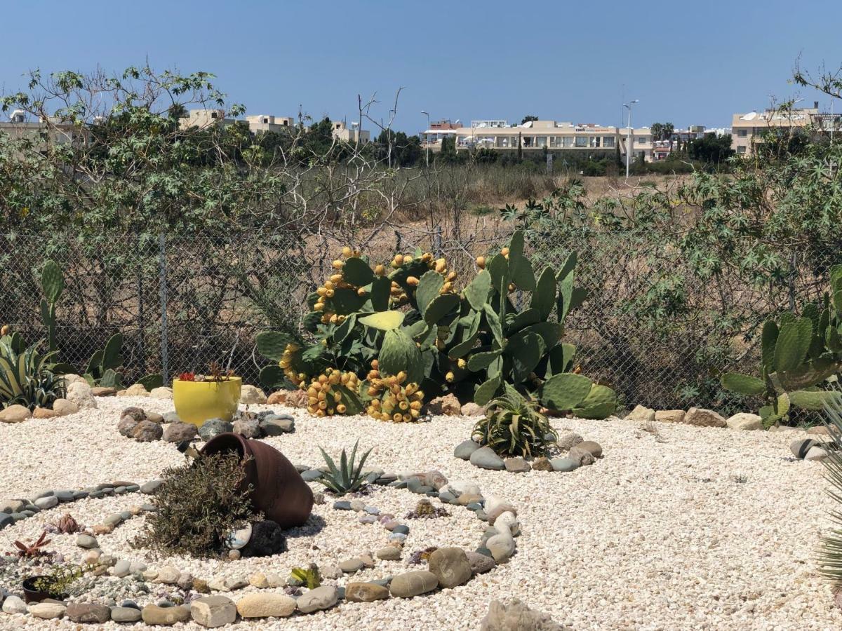 Royal Seacrest Apartment Pafos Dış mekan fotoğraf