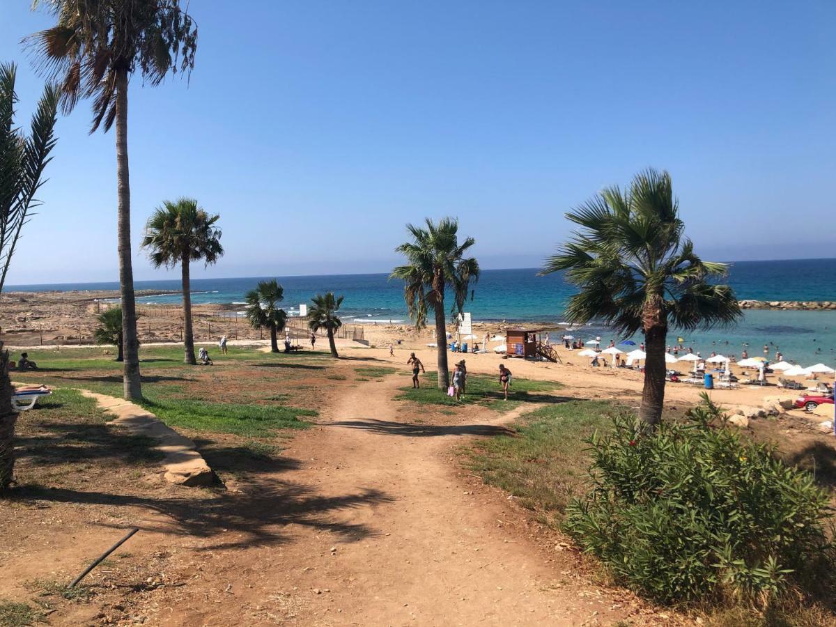 Royal Seacrest Apartment Pafos Dış mekan fotoğraf