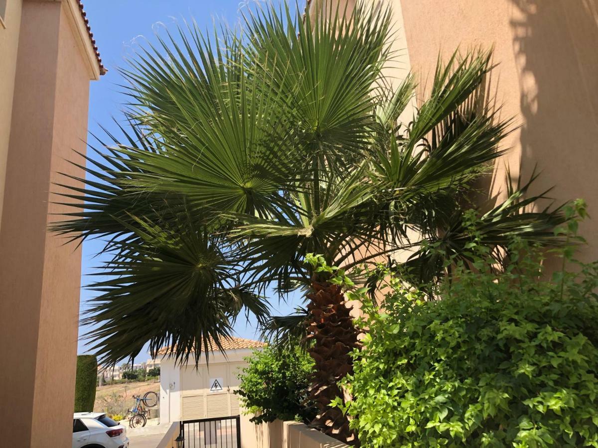 Royal Seacrest Apartment Pafos Dış mekan fotoğraf